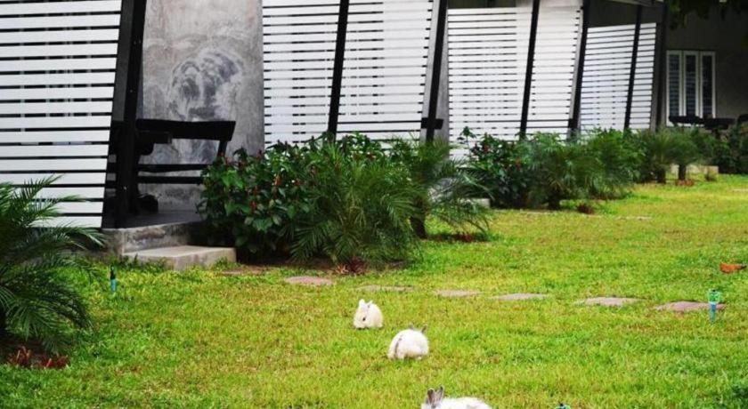 V Valley Resort Satun Exterior photo